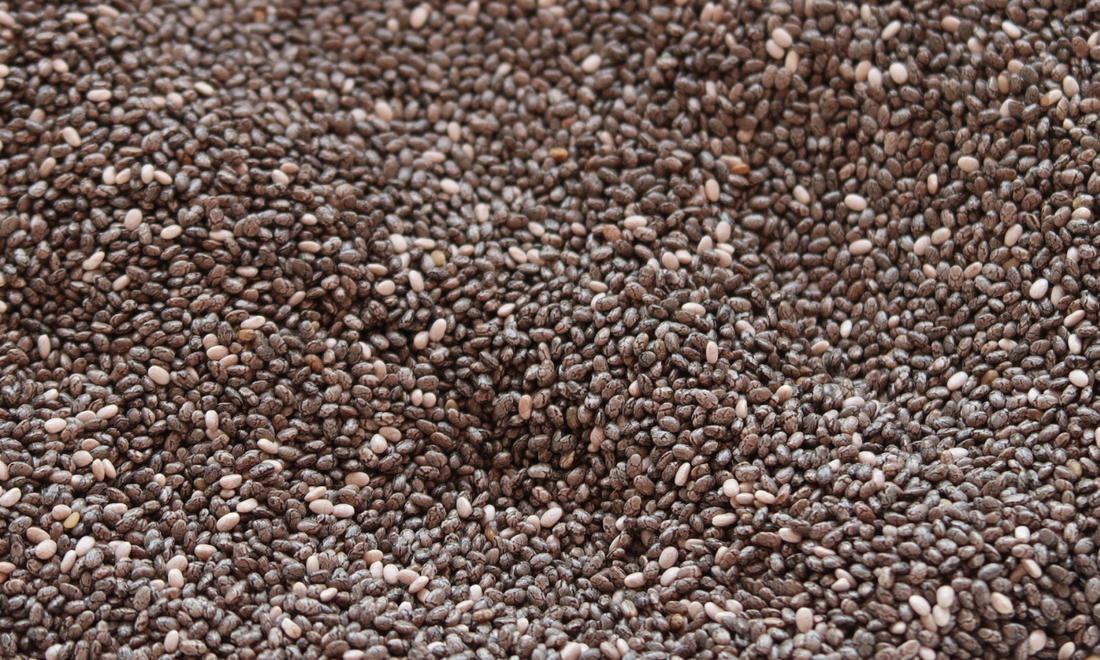 Chia Seeds: The Brain-Boosting Superfood You Need for Better Concentration and Memory