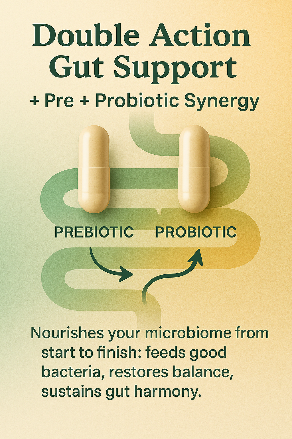 Gentle Synbiotic - Low CFU Probiotic and Prebiotic Formula - Sensitive Gut - FOS + XOS - DE111 B. subtilis, B. coagulans & L. rhamnosus - Gut Support for Women & Men - 120 Capsules
